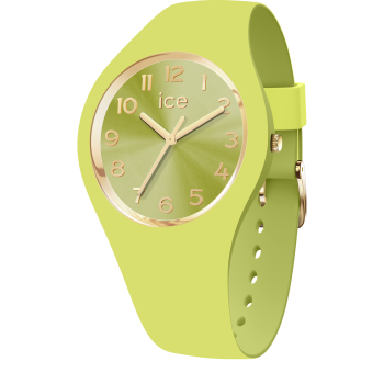 Ice Watch® Analoog 'Ice duo chic - lime' Dames Horloge (Small) 021820